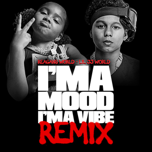 I'ma Mood I'ma Vibe (Remix)