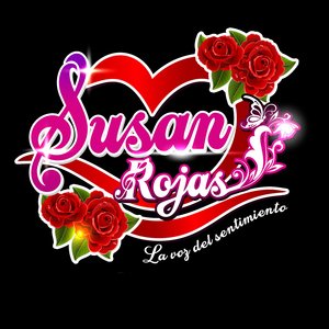 No Voy a Rogarte