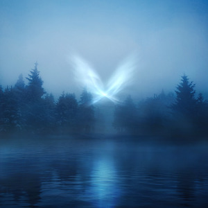 Odd Angel