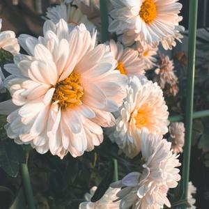 반의반 (a piece of your mind)