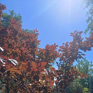 美丽的天空（纯音乐）