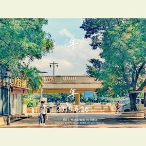 年年（成长习惯慢性告别）（翻自 徐秉龙）