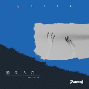 消失人海