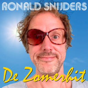 De Zomerhit