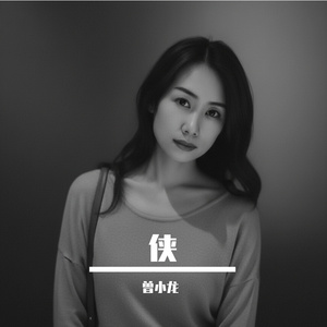 白马银鞍（侠客行）