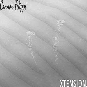 xtension.