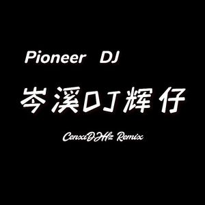 宇西 - 安和桥(岑溪DJ辉仔 Electro Mix)