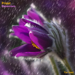 Exorcism001 (Original Mix)