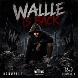Walle is back
