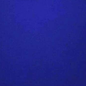 浓缩蓝鲸