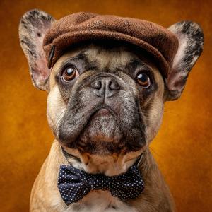 Remembering the Texture of Gray Stationery