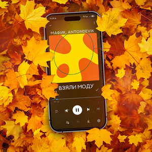 Взяли моду (Tik-Tok)