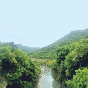 漂洋过海来看你