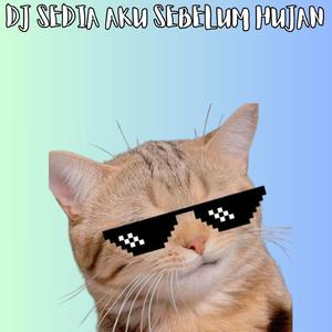DJ SEDIA AKU SEBELUM HUJAN (Remix)