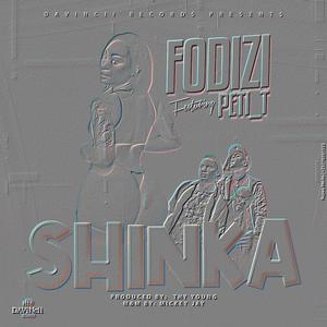 SHINKA (feat. Peti_t)
