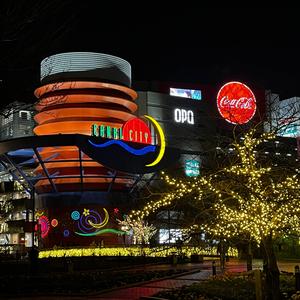 やさしい午後の光の中で