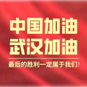 中国加油武汉加油（