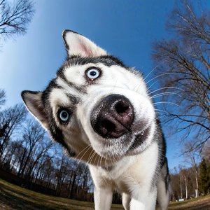 我的爱像天使守护你