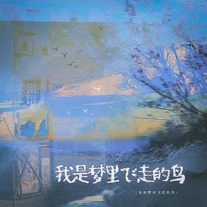 我是梦里飞走的鸟