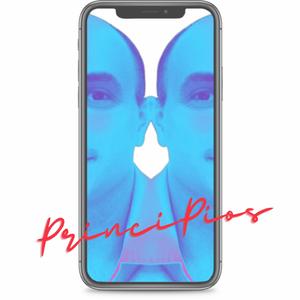 Ocean Wave Beach Seagul Water Landscape