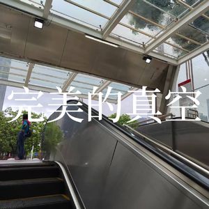 完美的真空(Feat.洛天依)
