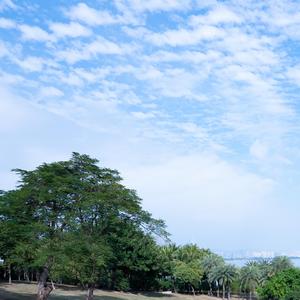 悬挂的风铃（治愈纯音乐）