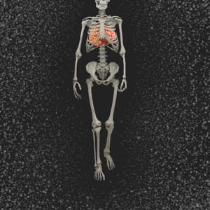 Malebranche (feat. Fulci)