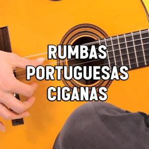 RUMBA PORTUGUESA 2024 LIZANDRINHO VAMOS DANÇAR