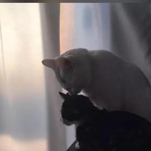 你的眼怎会看见我心碎