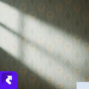 梦里的班 (现场)