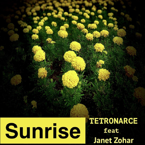 Sunrise (feat. Janet Zohar)