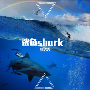 鲨鱼Shark