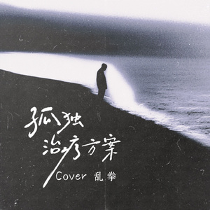 孤独治疗方案（Cover乱拳）