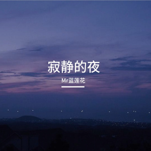 寂静的夜