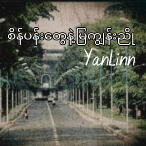 စိန်ပန်းတွေနဲ့မြကျွန်းညို