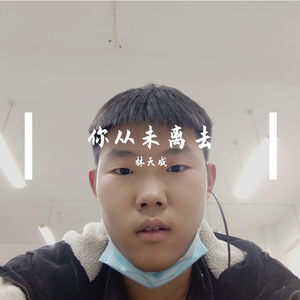 你从未离去（翻自 白挺）