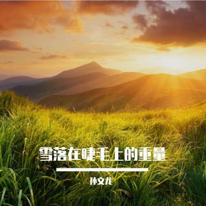 不要再有让自己心痛的雨季