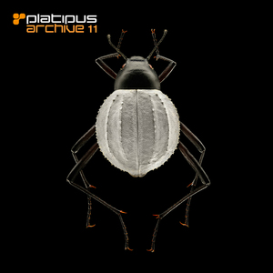 Ursa Majoris (Remastered G Coulter Remix)