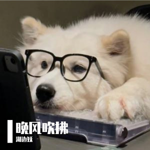 泪飞顿作倾盆雨