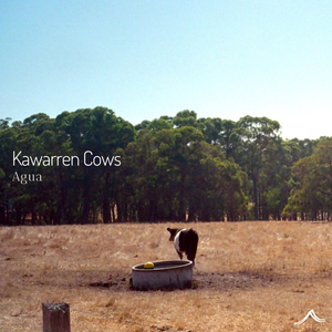 Kawarren Cows