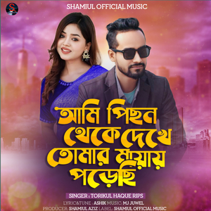 Ami Pichon Theke Dekhe Tomar Mayay Porechi