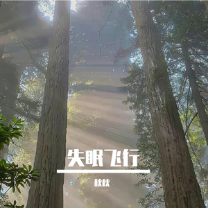 失眠飞行(Single Version)