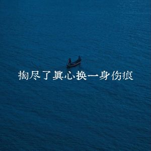 掏尽了真心换一身伤痕