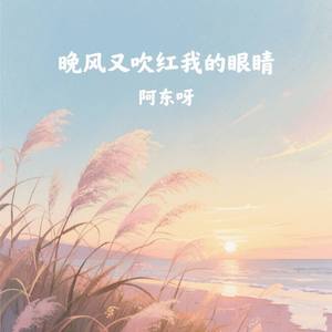 晚风又吹红我的眼睛