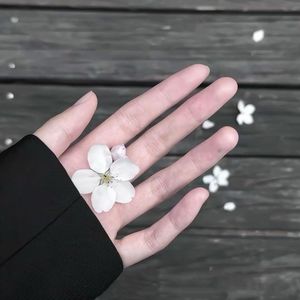 落DJ（0.96x降调版）