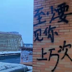 同桌的你（cover老狼）