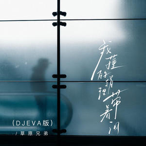 我懂的道理带着泪 (DJ EVA版伴奏)