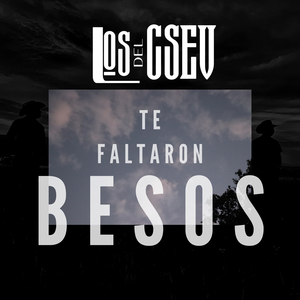 Te Faltaron Besos