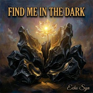 Find Me in the Dark