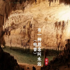 梧桐树的哭泣 (DJ版)